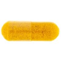 Terranova Fermented Turmeric 350mg
